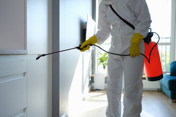 Best Same-Day Mold Removal  in Rutherfordton, NC