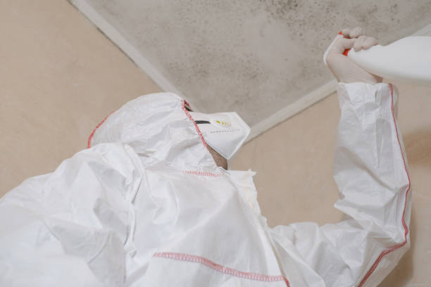 Best Mold Testing and Removal  in Rutherfordton, NC