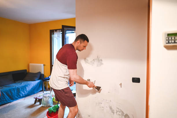 Best Attic Mold Removal  in Rutherfordton, NC