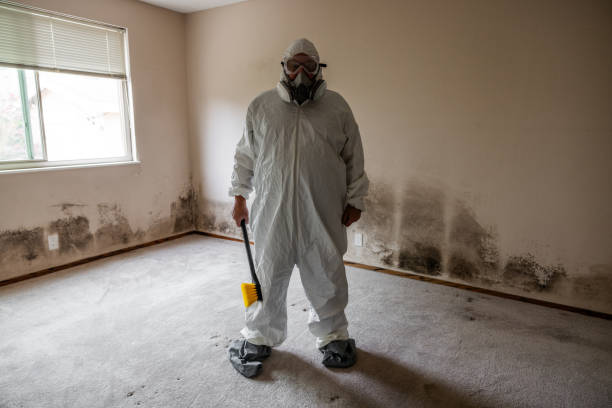 Attic Mold Removal in Rutherfordton, NC